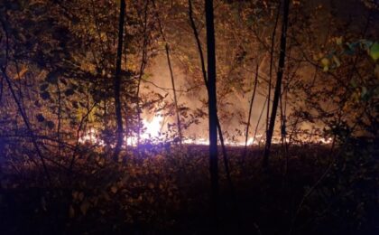 Weekend aglomerat pentru pompierii timișeni. 16 incendii de vegetație uscată, miriște și mărăciniș, în ultimele 48 de ore