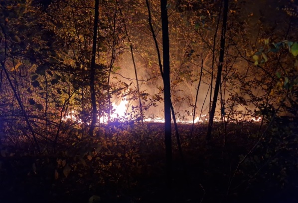 Weekend aglomerat pentru pompierii timișeni. 16 incendii de vegetație uscată, miriște și mărăciniș, în ultimele 48 de ore