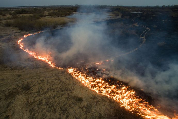 incendii Padura Amazoniana