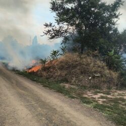 incendii blascovici6