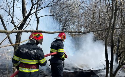 Incendiu produs la o baracă improvizată, pe Calea Șagului. Au fost salvați 5 căței și mama acestora (foto)