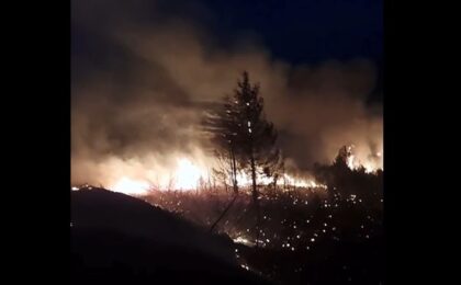 Incendiu puternic pe circa 20 de hectare de pădure în Munții Apuseni (Video)