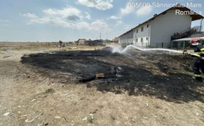 Timiș. Nouă incendii de vegetație uscată în 24 de ore