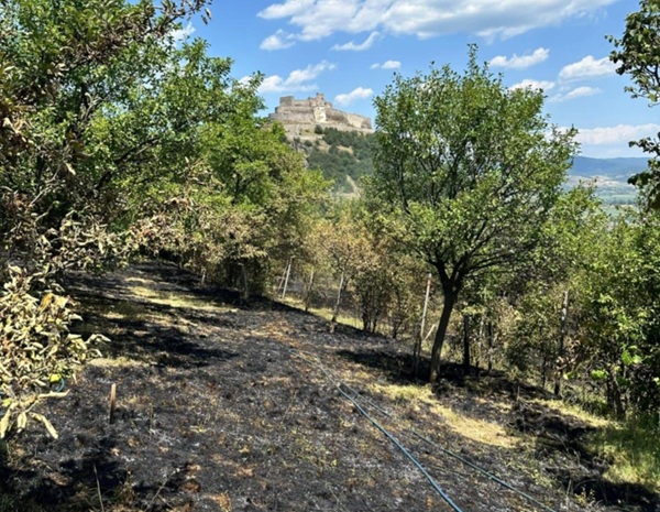 Femeie salvată de la moarte în ultima clipă. Foto