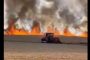 Incendiu devastator în Timiș: ard zeci de hectare de grâu. Video