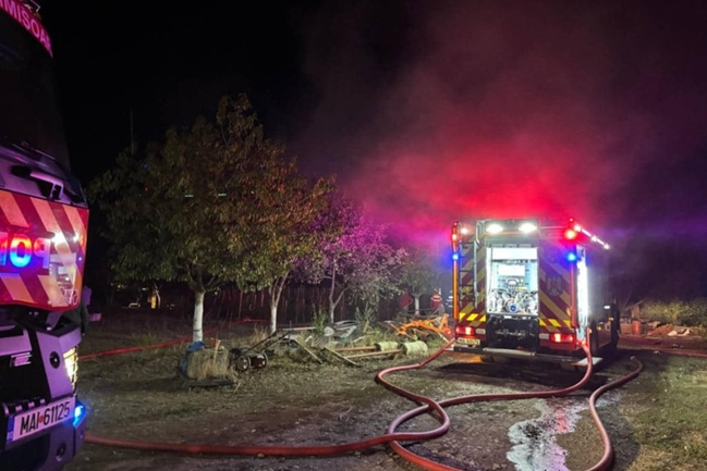 Incendiu teribil la Parța