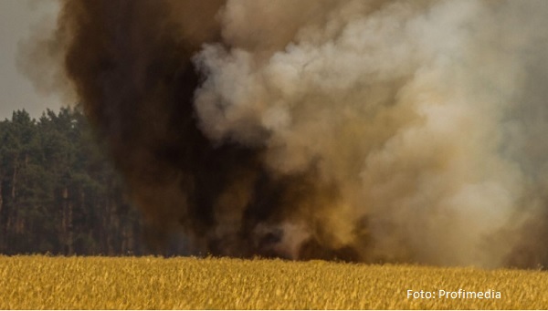 200 de hectare de culturi agricole au fost mistuite de flăcări în câteva ore