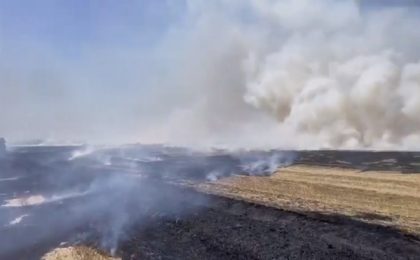 Incendiu vegetație între Ghiroda și Moșnita Veche. Ard 20 de hectare