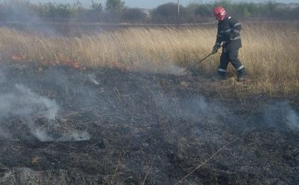 Mai multe incendii de vegetație uscată în Timiș