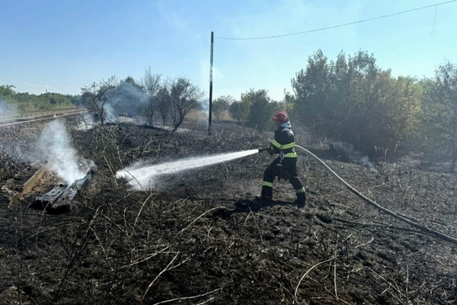 Incendiu puternic la Timișoara. Flăcările au cuprins 5 hectare de teren și traverse de cale ferată 1 Incendiu de vegetație uscată, în zona Gării de Sud Timișoara