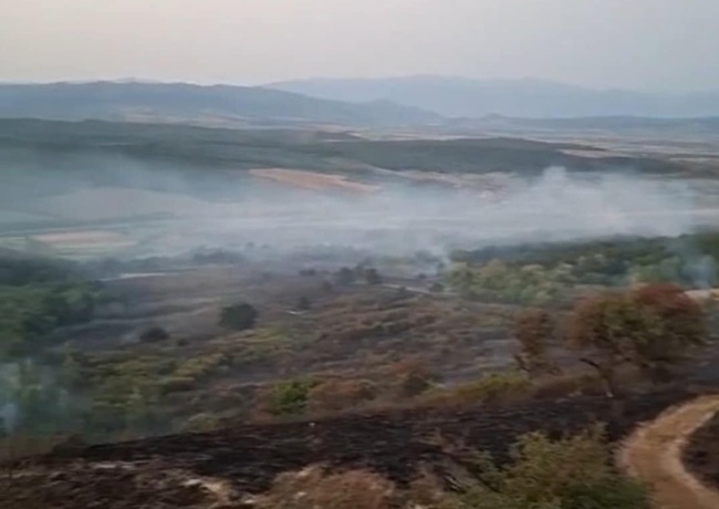 Incendiu teribil: 60 de hectare de teren au fost cuprinse de flăcări. VIDEO