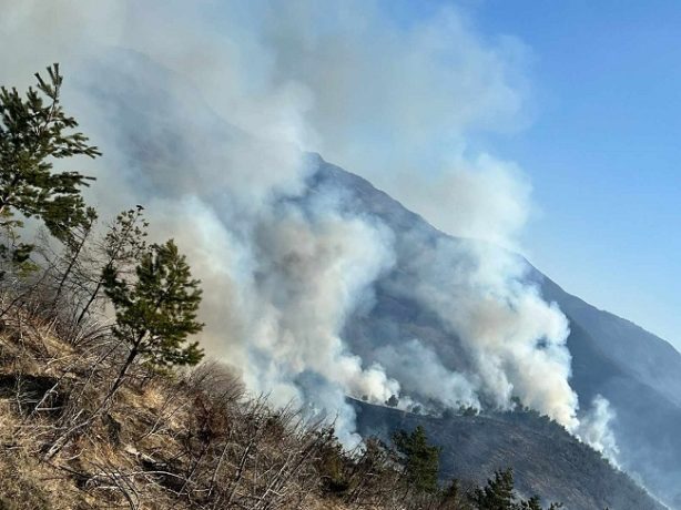 Pompierii intervin pentru stingerea unor mai multor incendii de vegetație izbucnite în județul Hunedoara
