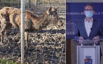 Dominic Fritz anunță închiderea Grădinii Zoologice din Timișoara: Îngrijirea animalelor nu este la standarde
