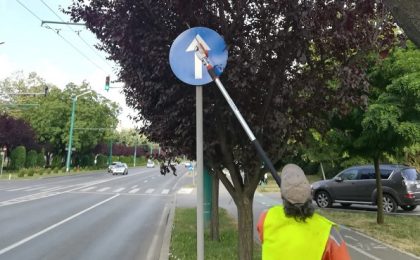 Indicatoarele rutiere care ne pun viața în pericol. Titi Aur: ”Un șofer din Iași nu se va descurca în Timișoara sau în Cluj”