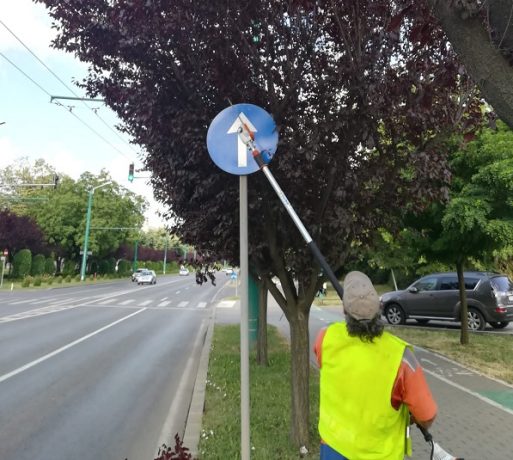 Indicatoarele rutiere care ne pun viața în pericol. Titi Aur: ”Un șofer din Iași nu se va descurca în Timișoara sau în Cluj”