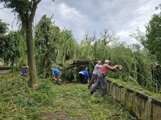 Intervenție pe faleza Timișului din Lugoj, după ce mai mulți copaci au fost doborâți de furtună