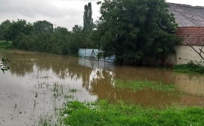inundatie criciova