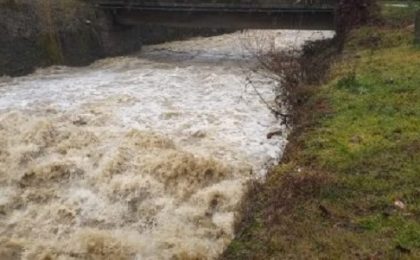 Avertizări de inundații pe mai multe râuri din vestul țării