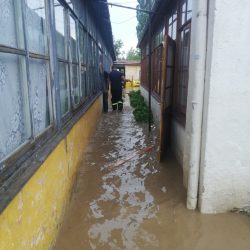 inundatii 4 3