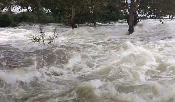 Cod galben de inundații în vestul țării! (harta)