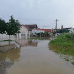 inundatii 5 4