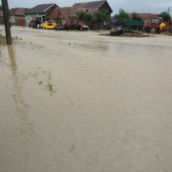 inundatii 7 1