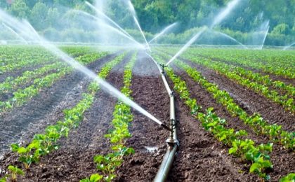 O țară vecină importă apă din România pentru irigații. Culturile românilor din vestul țării, în schimb, sunt distruse din cauza secetei