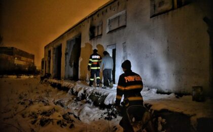 Ger în Timiș: Situație stabilă, dar cu avarii la rețeaua electrică