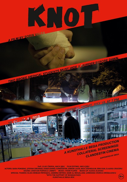 Proiecţie de film la Kunsthalle Bega