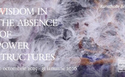  “Wisdom In The Absence Of Power Structures”, la Kunsthalle Bega