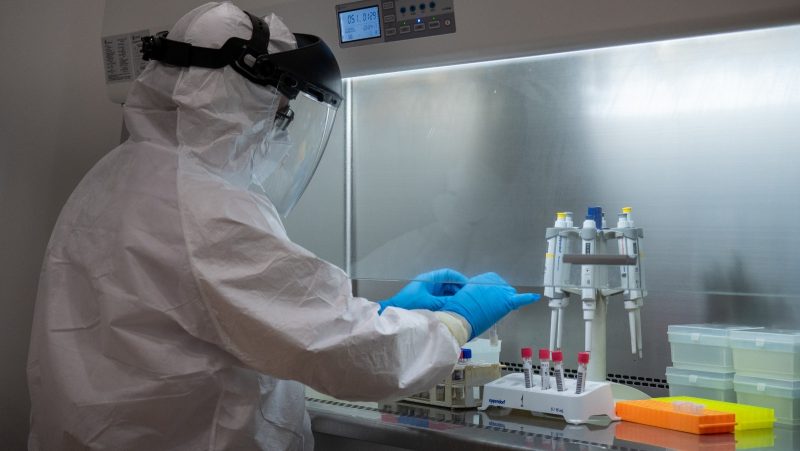 Un nou virus periculos, descoperit la doar 10 kilometri de granița cu România