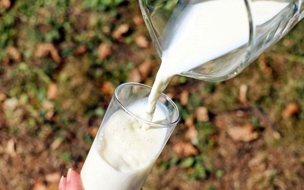 A intrat în vigoare ”Legea laptelui”. Obligații pentru producători, procesatori, comercianți și reguli pentru restaurante