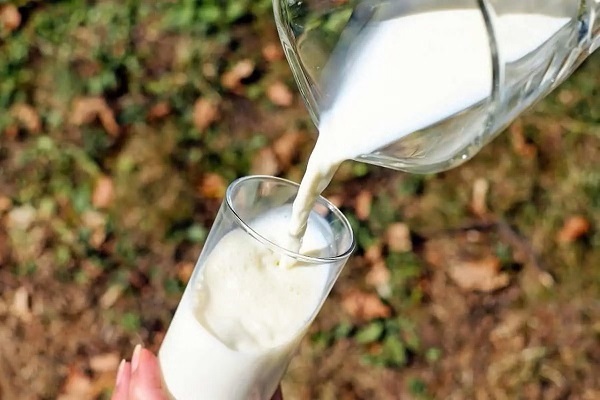 Legea laptelui si a produselor lactate a fost promulgată. Noi reguli pentru fermieri și comercianți