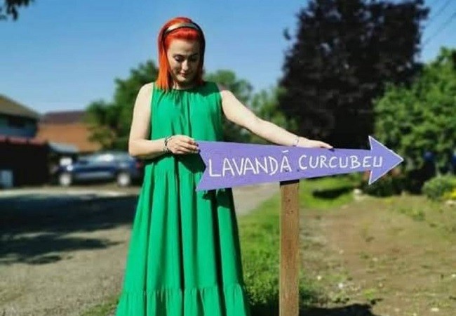Festivalul ''Lavandă Curcubeu'', la doi paşi de Timişoara