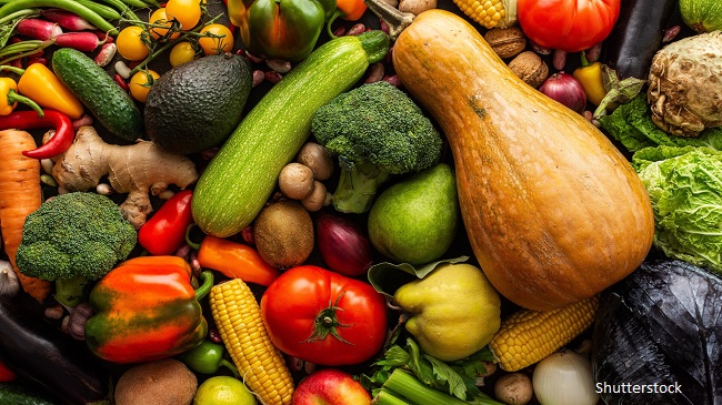 Dieta de toamnă