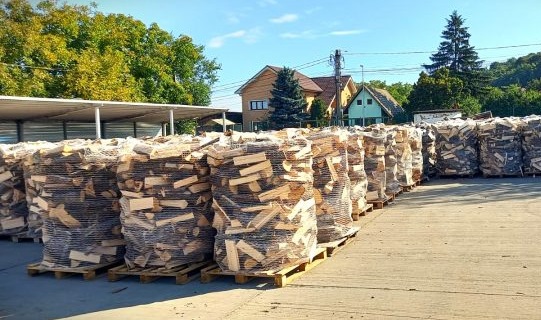 Romsilva va pune la dispoziția populației circa două milioane de metri cubi de lemn pentru foc până la finalul anului