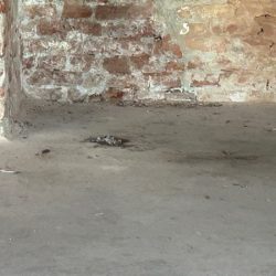Monumentul istoric din Piața Mărăști, uitat de autorități, a ajuns o ruină și un focar de infecție