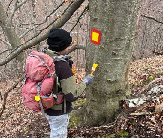 Marcaje în Parcului Natural Grădiștea Muncelului-Cioclovina