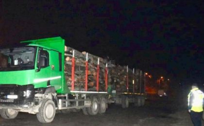 Acțiuni ale polițiștilor pentru verificarea legalității transportului de material lemnos: amenzi de 12.000 de lei