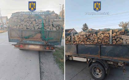 Timiș. Transport ilegal de material lemnos depistat de polițiști