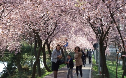 Primăvară, în sfârşit 17 meteo 2