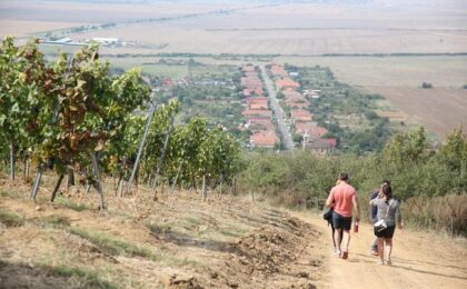 Trei localităţi din vestul ţării au devenit "sate specializate"