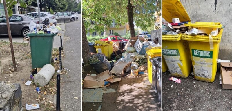 Mizerie la tot pasul în Timişoara! Poliţiştii locali au dat aproape 400 de amenzi 1 Mizerie la tot pasul în Timişoara! Poliţiştii locali au dat aproape 400 de amenzi