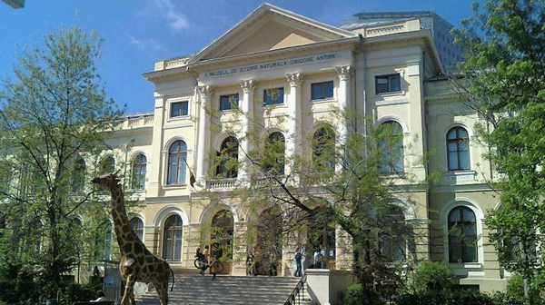 Val de glume după ce Muzeul Antipa a oferit intrare gratuită românilor cu nume de animale | "Vânătoru Andrei: Vă aștept în față"