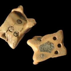 Timişoara, cândva o cetate frumoasă de piatră… (foto)