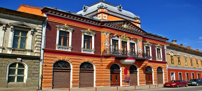 Sistem mimico gestual pentru persoanele cu dizabilități care vizitează Muzeul din Lugoj