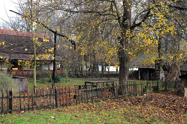 Oferta culturală a Consiliului Județean Timiş pentru perioada 13 – 19 octombrie