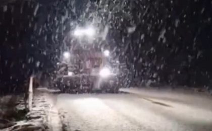 A nins abundent în unele zone din vestul țării. Video