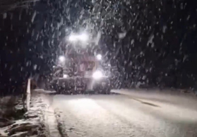 A nins abundent în unele zone din vestul țării. Video