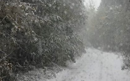 Iarna loveşte în plină toamnă: ANM a emis alertă de ninsori și lapoviță